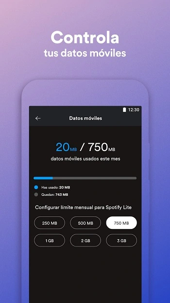 Spotify lite app image