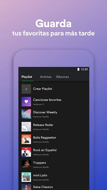 Spotify lite app image